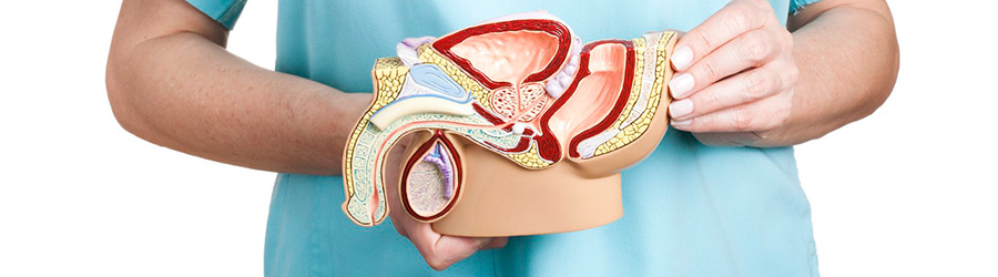 urologiya1